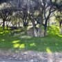Canyon Ranch