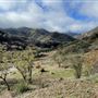 Canyon Ranch