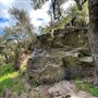 Canyon Ranch