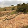Canyon Ranch