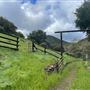 Canyon Ranch