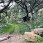 Canyon Ranch