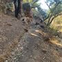 Canyon Ranch