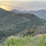 Canyon Ranch