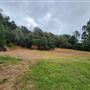 Franklin Canyon Park - Santa Monica Mountains Conservancy - SMMC