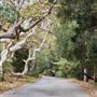 Franklin Canyon Park - Santa Monica Mountains Conservancy - SMMC