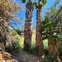 Franklin Canyon Park - Santa Monica Mountains Conservancy - SMMC