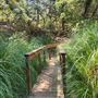 Franklin Canyon Park - Santa Monica Mountains Conservancy - SMMC
