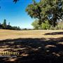 Khyra Beaucrest Ranch