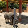 Los Angeles Zoo & Botanical Gardens - LA Zoo