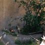 Los Angeles Zoo & Botanical Gardens - LA Zoo