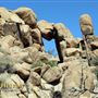 One45 - Desert Rocks
