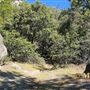Idyllwild Regional Park