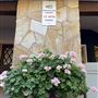 Historic Brookdale Lodge - Santa Cruz Mountains