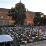 University of California, Los Angeles - UCLA
