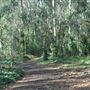 Presidio Trust - BRAC