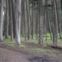 Presidio Trust - BRAC