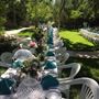 Le Chene French Cuisine and Alonso Family Vineyards