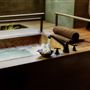 Meadowood Resort Napa Valley