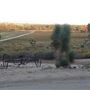 Kemper Campbell Ranch