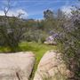 Stone Meadows Ranch