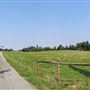 Sinclair Family Farm
