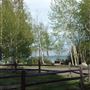 Lake Forest Beach