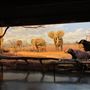 Museum of Natural History, Los Angeles