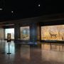 Museum of Natural History, Los Angeles