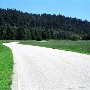 Henry Cowell Redwoods State Park (SP)