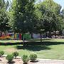 California State University, Bakersfield - CSUB