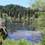 Camp Cedar Lake