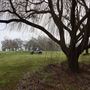 River Oaks Golf Course