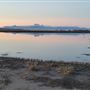 Sutter Bypass Wildlife Area - California Department of Fish & Wildlife (CDFW)