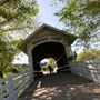 Roaring Camp Railroad