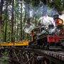 Roaring Camp Railroad