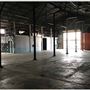 Willow Studios
