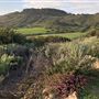 Wildwood Regional Park