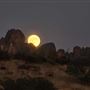 Pinnacles National Park - NPS