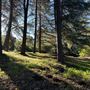 Greer Ranch
