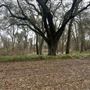 Acampo Property