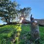 Sage Ranch Park