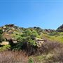 Rocky Peak Park