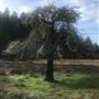 Browder Ranch