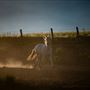 Rankin Ranch - California Cattle & Guest Ranch
