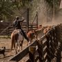 Rankin Ranch - California Cattle & Guest Ranch