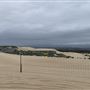 Oceano Dunes State Vehicular Recreation Area (SVRA) / Pismo State Beach (SB)