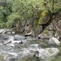 Crystal Creek Falls - Whiskeytown National Recreation Area