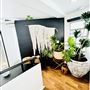 Virgo Salon