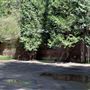Mt. Shasta City Park